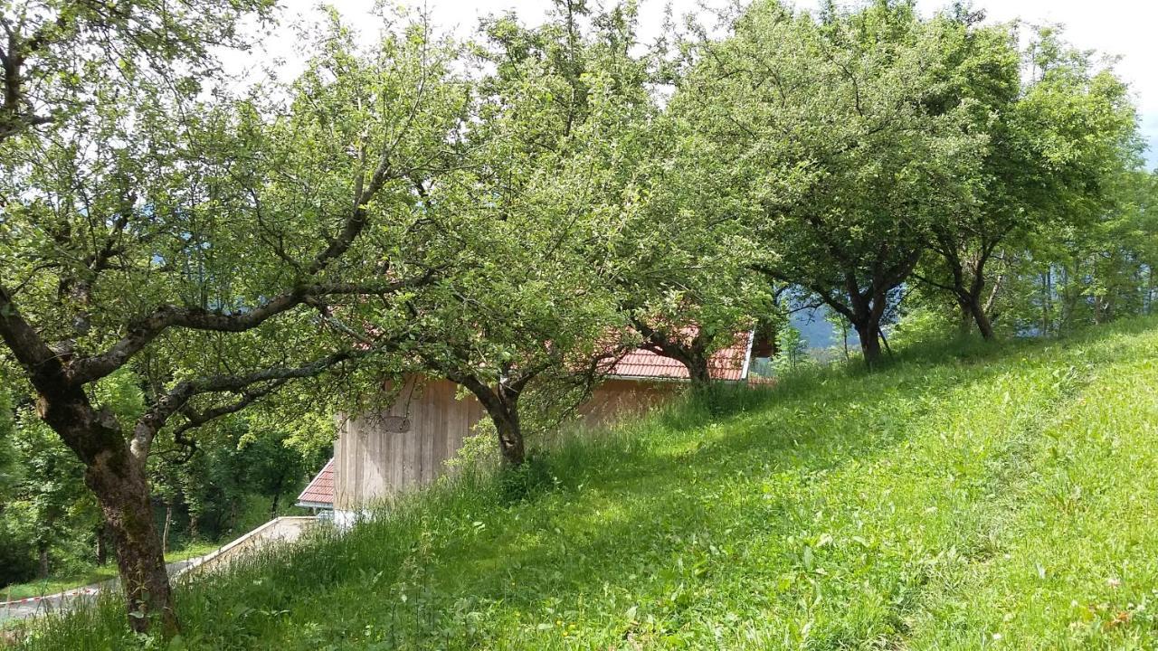 Apartmán Muellnerhaus Millstatt Exteriér fotografie