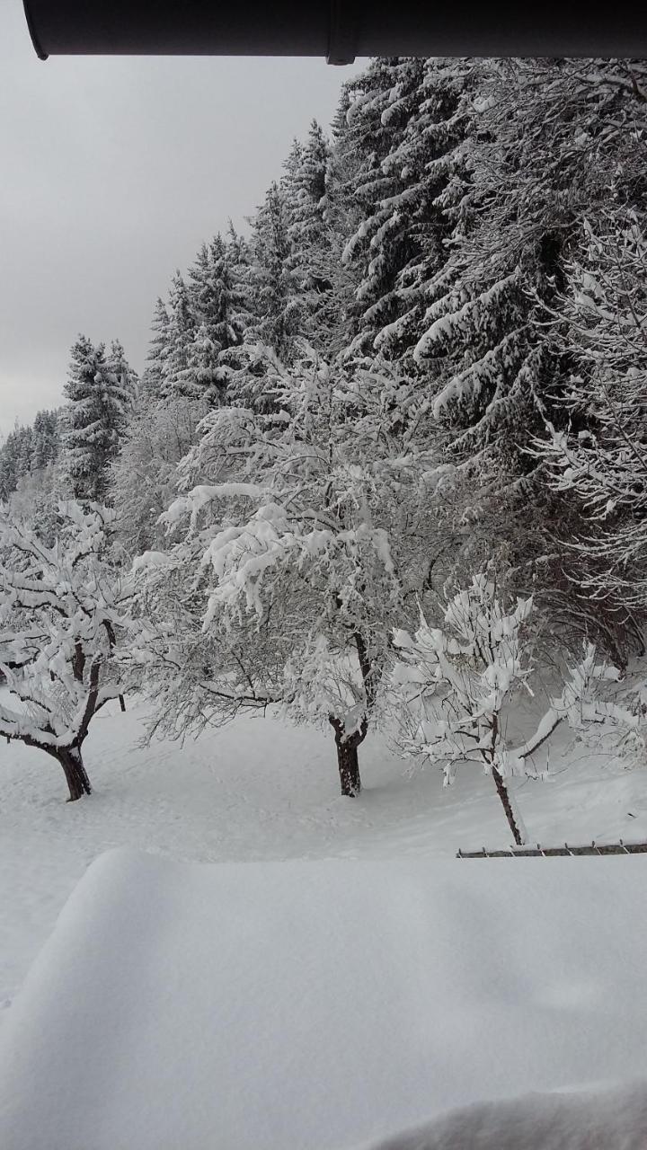 Apartmán Muellnerhaus Millstatt Exteriér fotografie
